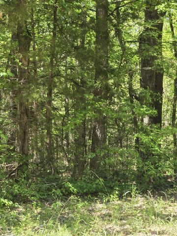 TBD County Road 421, Tyler, TX 75704