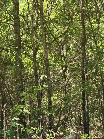 TBD County Road 421, Tyler, TX 75704
