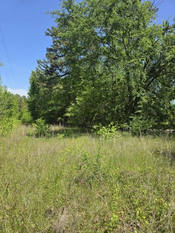 TBD County Road 421, Tyler, TX 75704