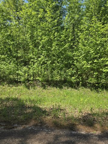 TBD County Road 421, Tyler, TX 75704