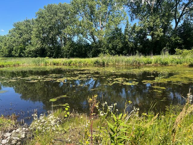 6850 W Winding Trail 202, Oak Forest, IL 60452