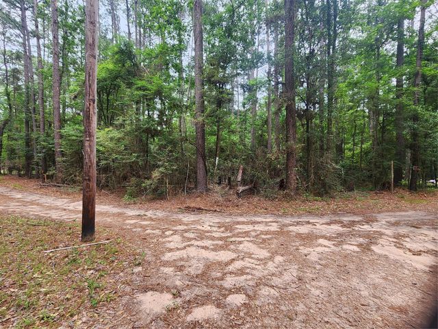 277 Long King, Livingston, TX 77351