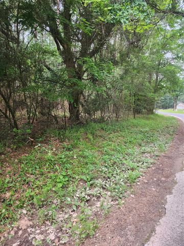 277 Long King, Livingston, TX 77351