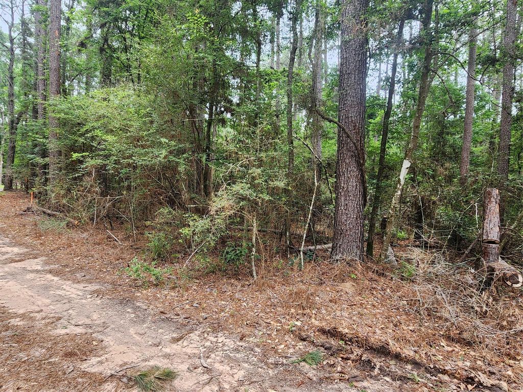 277 Long King, Livingston, TX 77351