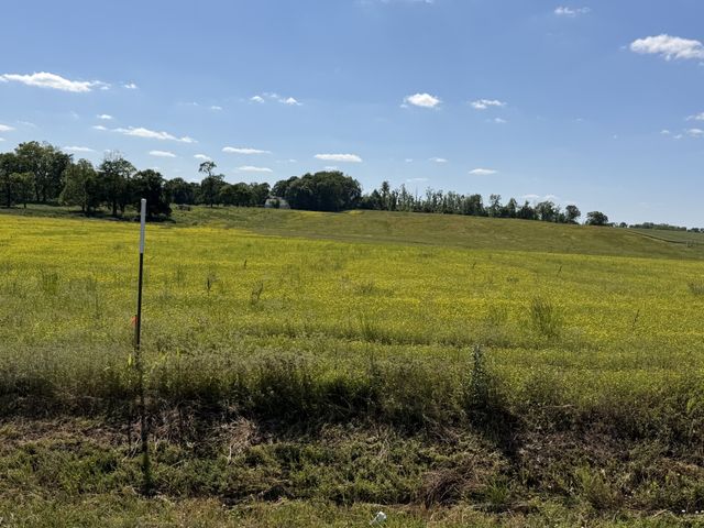 0 Pinson Rd, Springfield, TN 37172