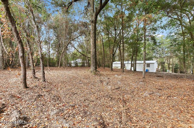 66 PANDA Avenue, Middleburg, FL 32068