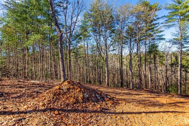 6.44 Whispering Oaks Drive, Ellijay, GA 30540