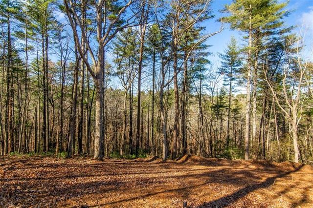 6.44 Whispering Oaks Drive, Ellijay, GA 30540