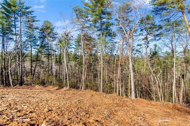 6.44 Whispering Oaks Drive, Ellijay, GA 30540