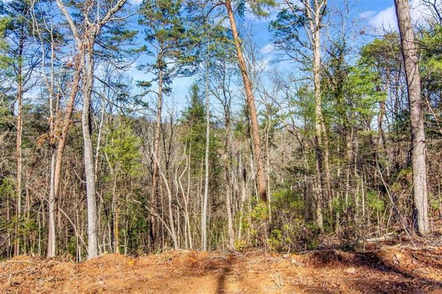 6.44 Whispering Oaks Drive, Ellijay, GA 30540