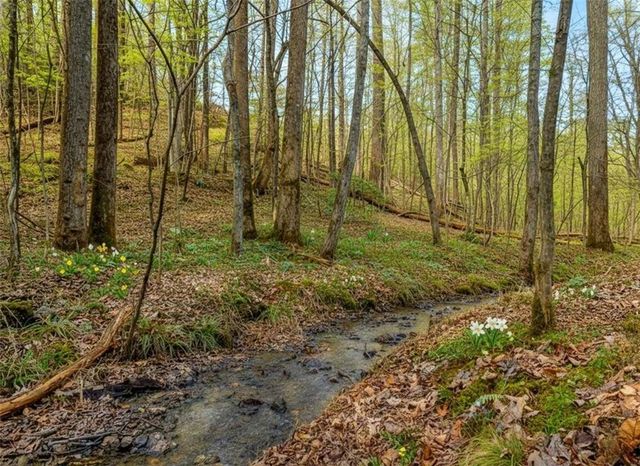 6.44 Whispering Oaks Drive, Ellijay, GA 30540