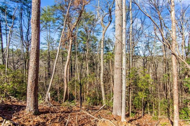 6.44 Whispering Oaks Drive, Ellijay, GA 30540