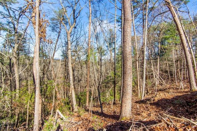 6.44 Whispering Oaks Drive, Ellijay, GA 30540