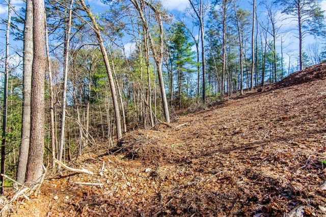 6.44 Whispering Oaks Drive, Ellijay, GA 30540