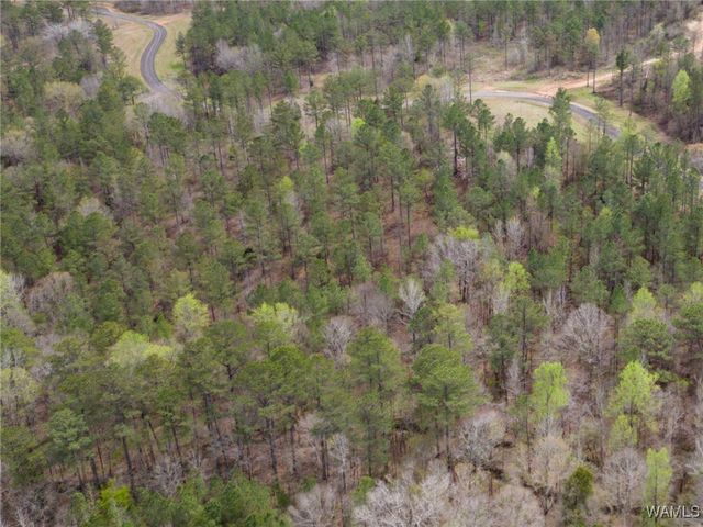 Lot 2 Pine Ridge, Coker, AL 35452
