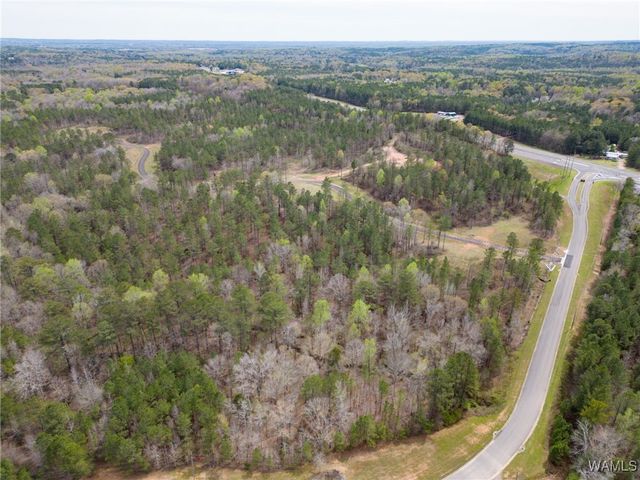 Lot 2 Pine Ridge, Coker, AL 35452
