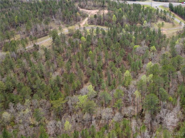 Lot 2 Pine Ridge, Coker, AL 35452