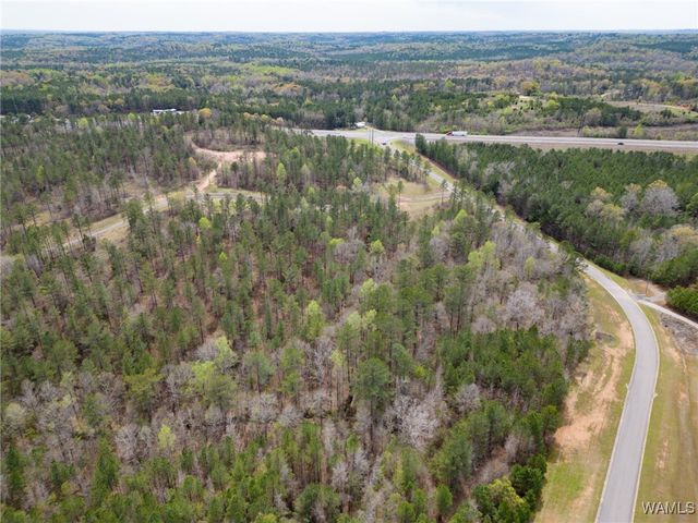 Lot 2 Pine Ridge, Coker, AL 35452