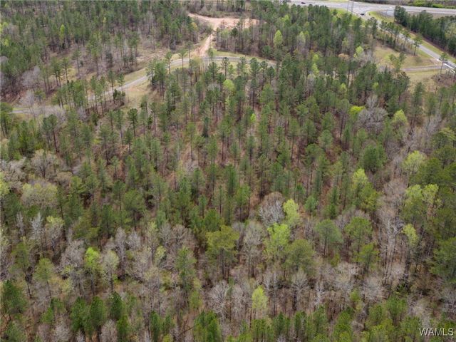 Lot 2 Pine Ridge, Coker, AL 35452