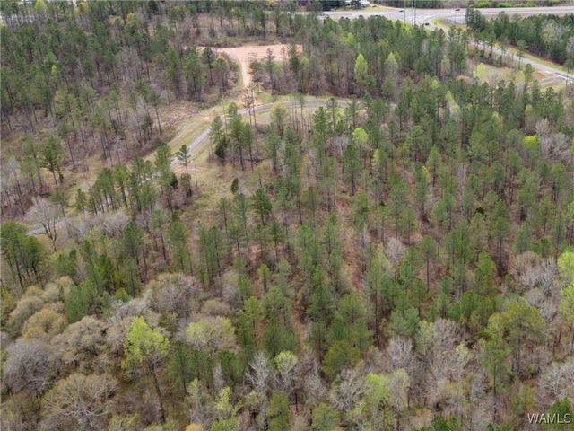 Lot 2 Pine Ridge, Coker, AL 35452