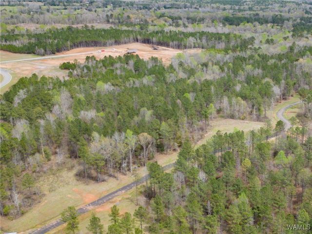 Lot 2 Pine Ridge, Coker, AL 35452