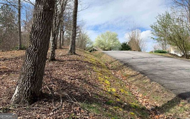 LOT 42 Dan Knob, Hayesville, NC 28904
