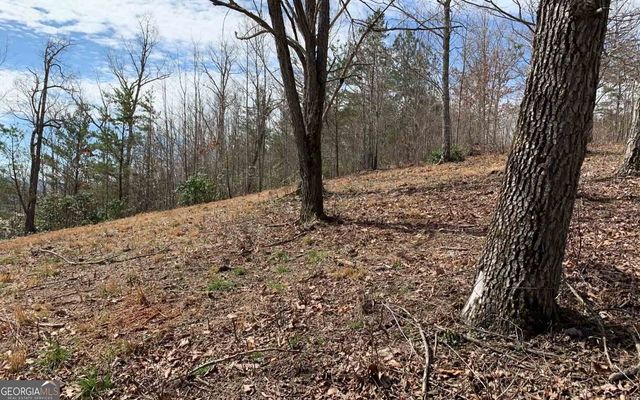 LOT 42 Dan Knob, Hayesville, NC 28904