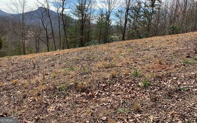 LOT 42 Dan Knob, Hayesville, NC 28904