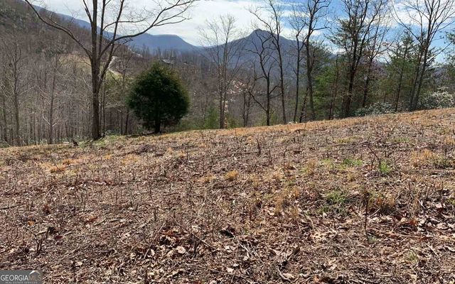 LOT 42 Dan Knob, Hayesville, NC 28904