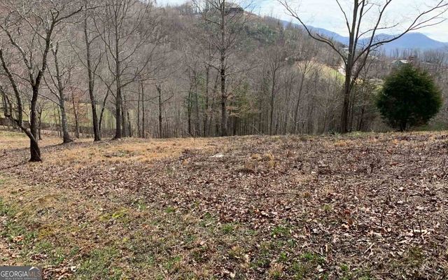LOT 42 Dan Knob, Hayesville, NC 28904