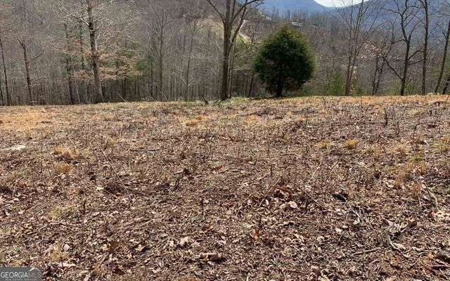 LOT 42 Dan Knob, Hayesville, NC 28904