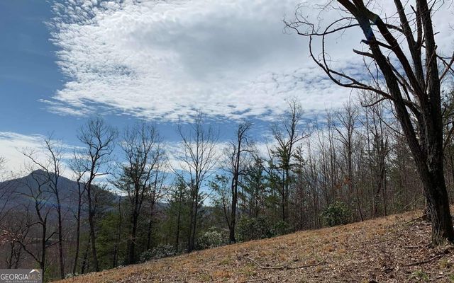 LOT 42 Dan Knob, Hayesville, NC 28904