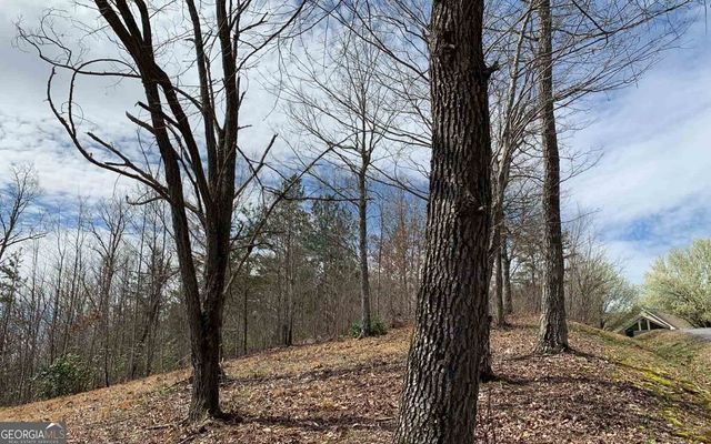 LOT 42 Dan Knob, Hayesville, NC 28904