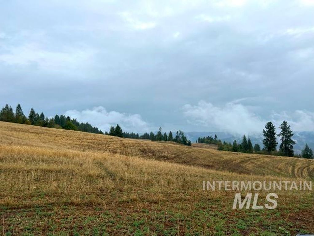 NKA 618acs Freeman Creek Rd, Lenore, ID 83541 photo 12