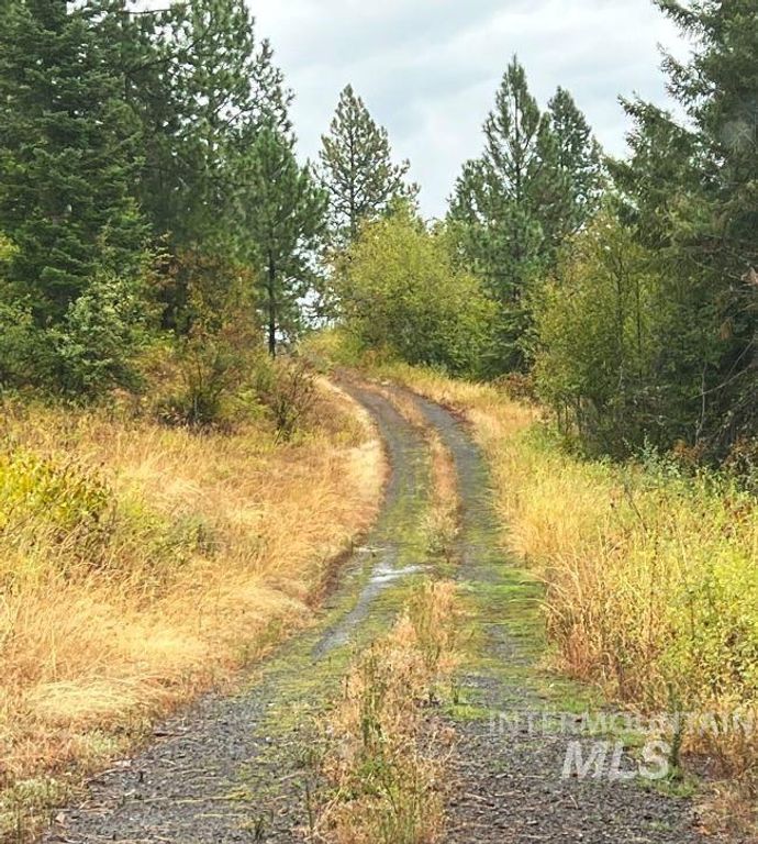 NKA 618acs Freeman Creek Rd, Lenore, ID 83541 photo 17