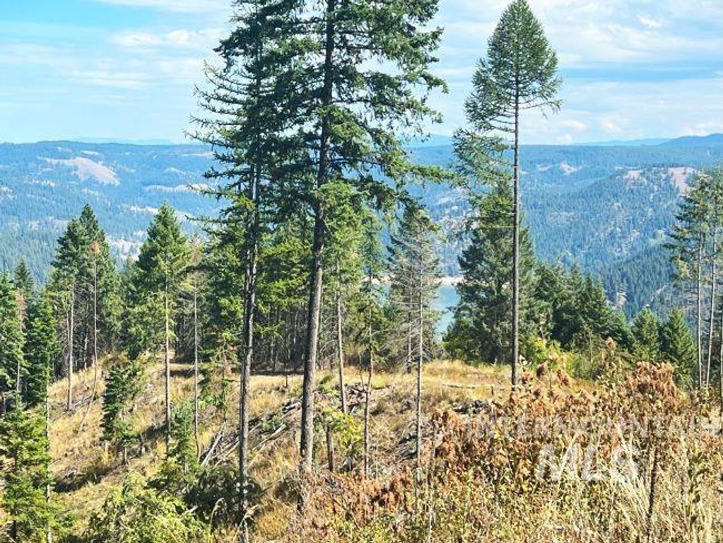 NKA 618acs Freeman Creek Rd, Lenore, ID 83541 photo 21