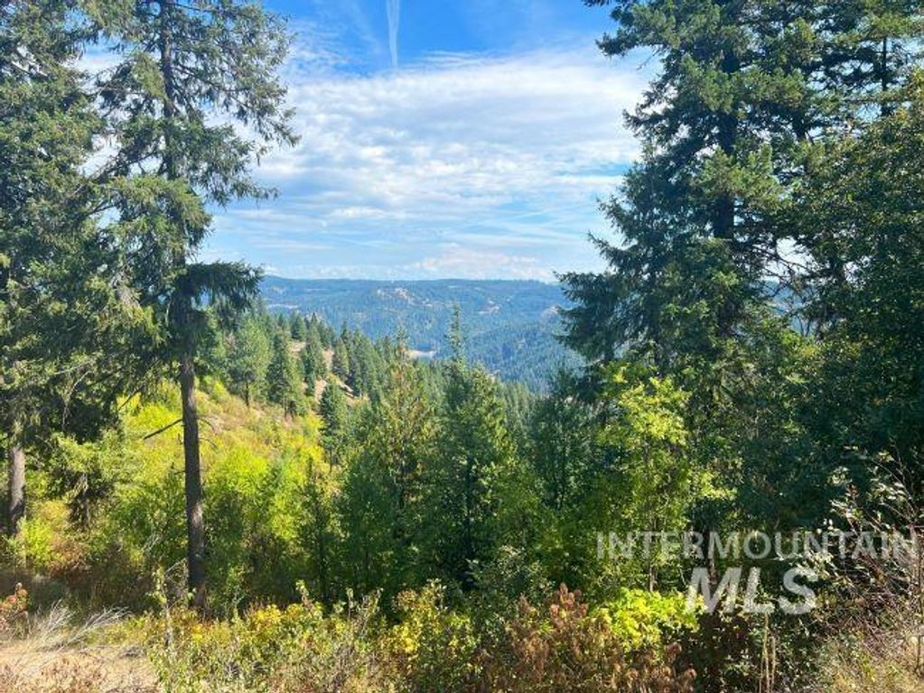 NKA 618acs Freeman Creek Rd, Lenore, ID 83541 photo 23