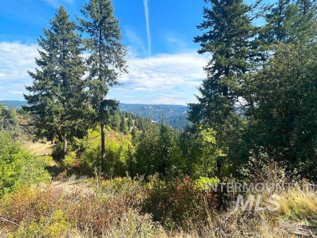 NKA 618acs Freeman Creek Rd, Lenore, ID 83541 photo 24