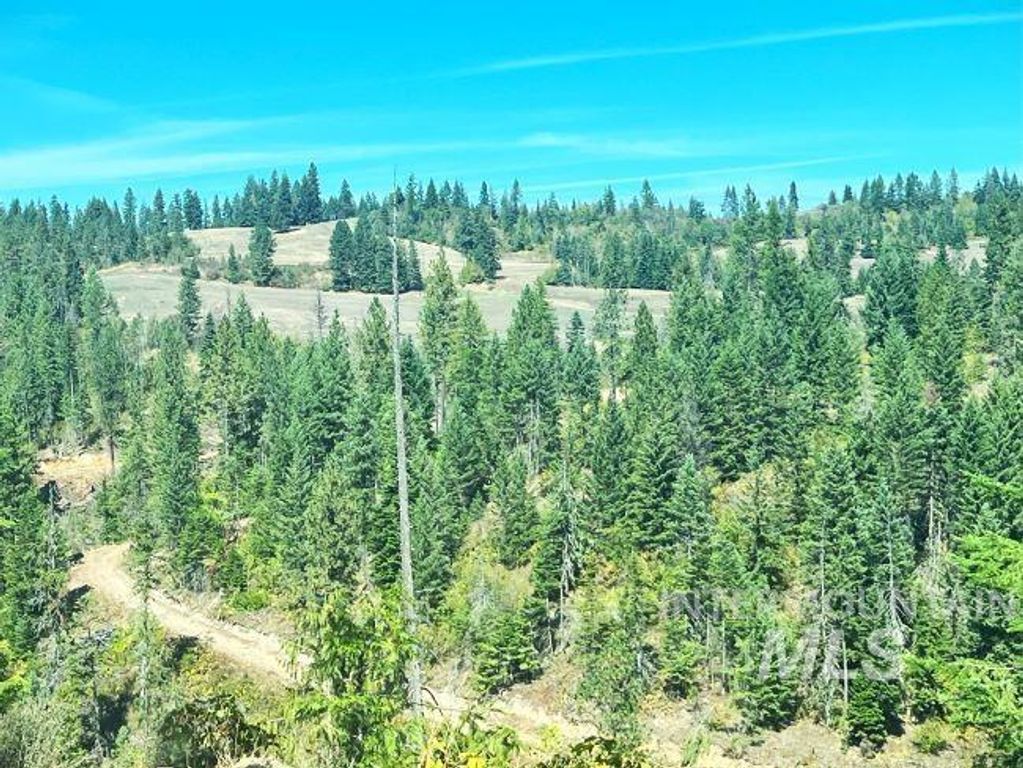 NKA 618acs Freeman Creek Rd, Lenore, ID 83541 photo 26