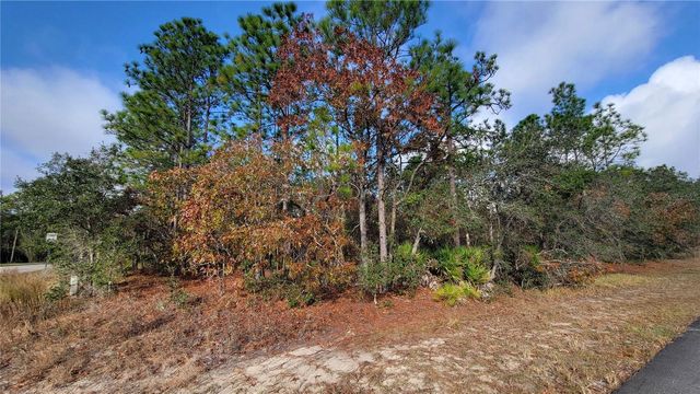 4312 N DECKWOOD DRIVE, Beverly Hills, FL 34465