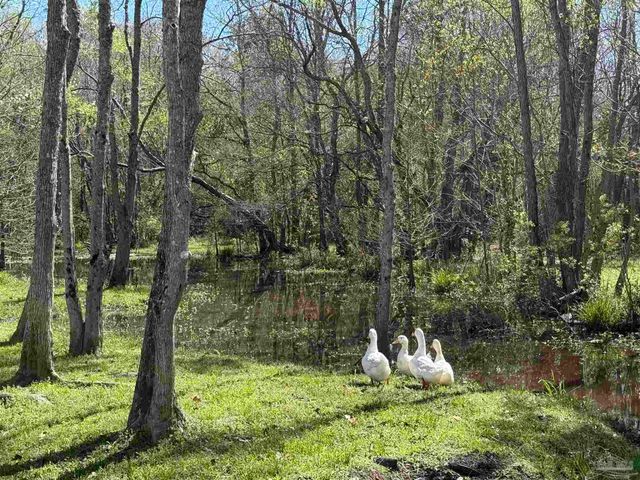 435 Meander Ln, Cantonment, FL 32533