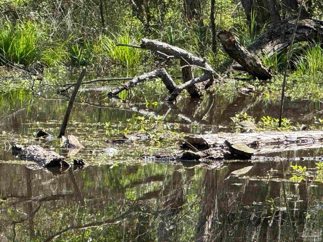 435 Meander Ln, Cantonment, FL 32533