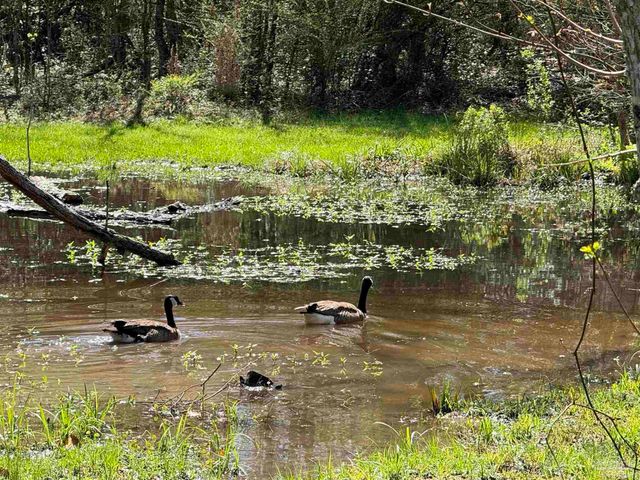 435 Meander Ln, Cantonment, FL 32533