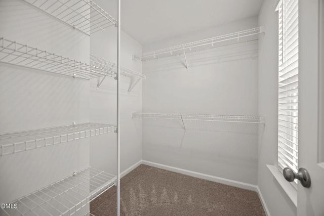 9232 Kitchin Farms Way, Wake Forest, NC 27587