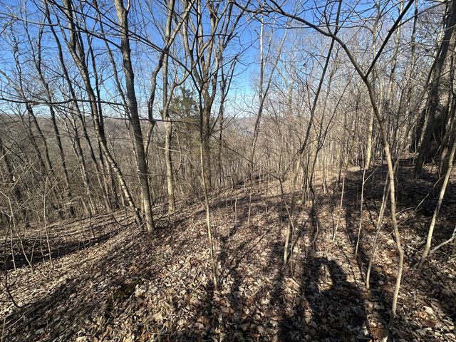 0 Hurricane Ridge Rd, Smithville, TN 37166