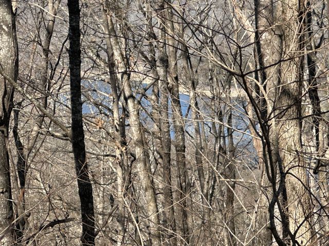 0 Hurricane Ridge Rd, Smithville, TN 37166