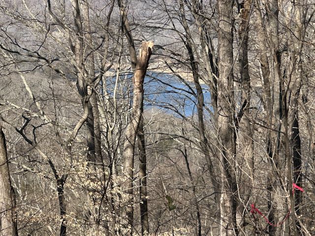 0 Hurricane Ridge Rd, Smithville, TN 37166