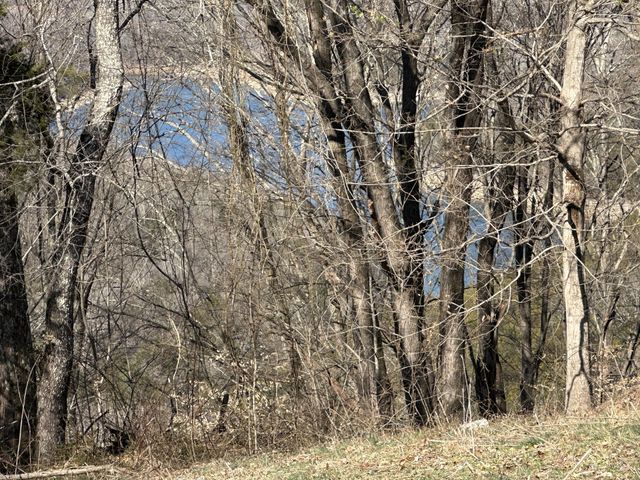 0 Hurricane Ridge Rd, Smithville, TN 37166