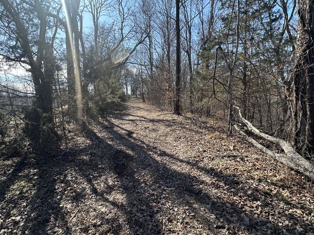 0 Hurricane Ridge Rd, Smithville, TN 37166