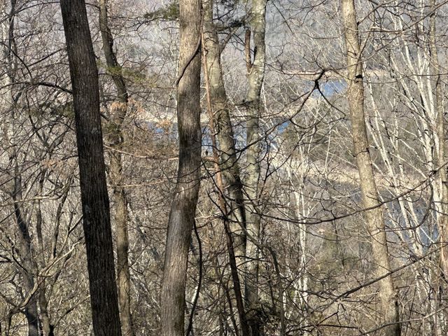 0 Hurricane Ridge Rd, Smithville, TN 37166